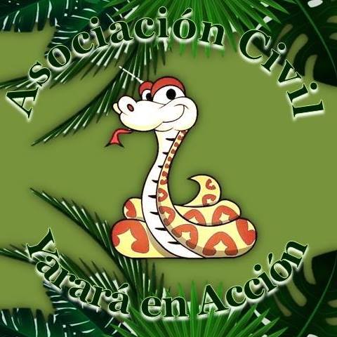 ASOCIACION CIVIL YARARA EN ACCION