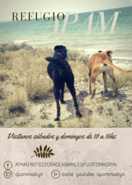 Asociación Protectora de Animales Puerto Madryn