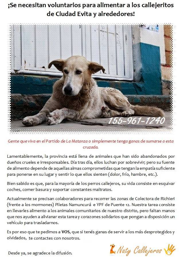 AYUDEMOS A LOS PERRITOS DE MATADEROS