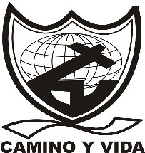 Camino y vida