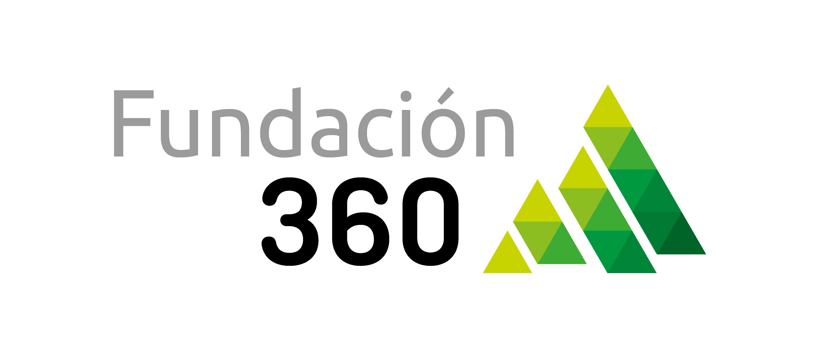 Fundación 360