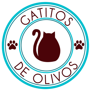 Gatitos de Olivos