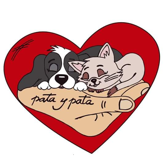 Pata y Pata