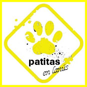 Patitas en Lanús