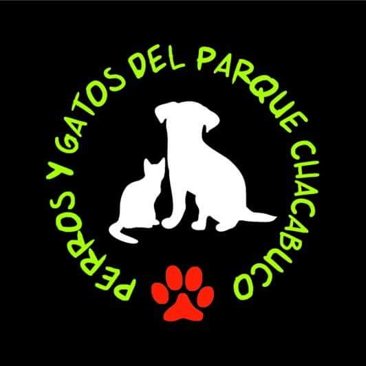 Perros y Gatos del Parque Chacabuco