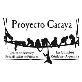 Proyecto Carayá