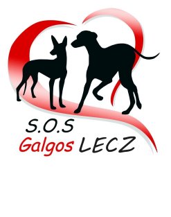 S.O.S Galgos LECZ
