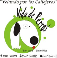 Vida de Perros Velando por los Callejeros