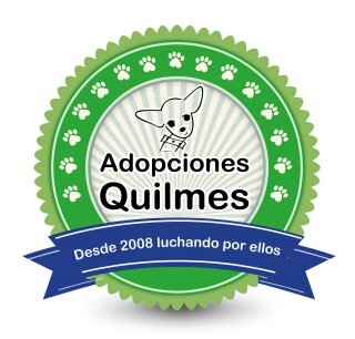 ADOPCIONES QUILMES