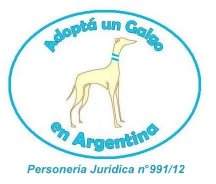 Adopta un Galgo en Argentina