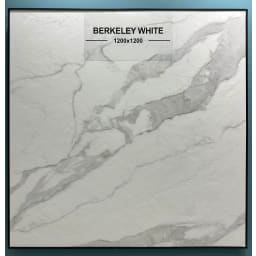 Berkeley White - Thumbnail 3