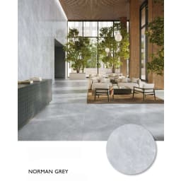 Norman Grey - Thumbnail 4