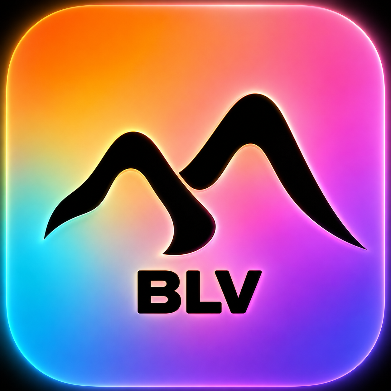 Best Life Ventures