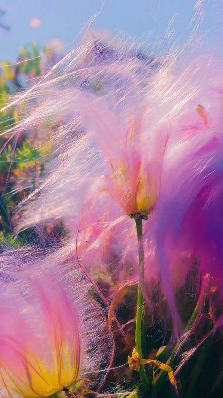 Ethereal Pink Flower Close-Up in Nature