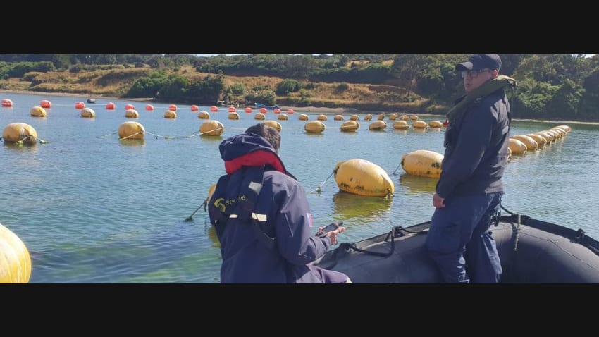 Funcionarios de Sernapesca en un bote junto a las boyas de un cultivo de moluscos en Chiloé, imagen referencial