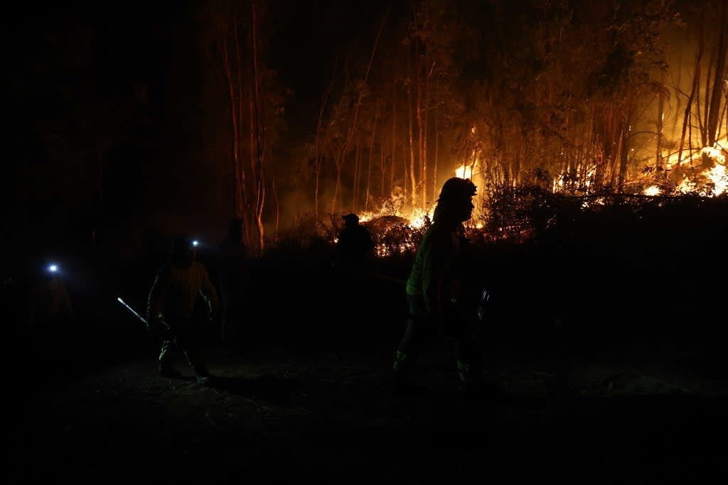 Senapred solicita evacuar sectores de Florida por incendio forestal