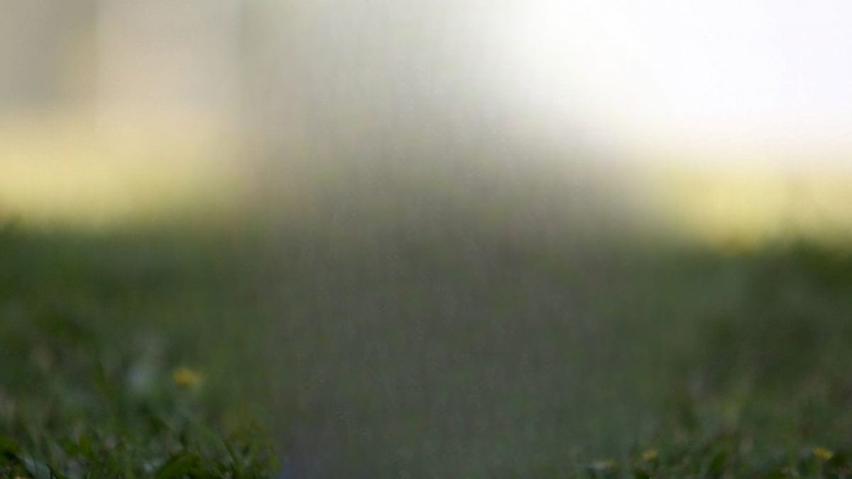 Comisión de Constitución Despacha Reforma Clave a Ley SADP