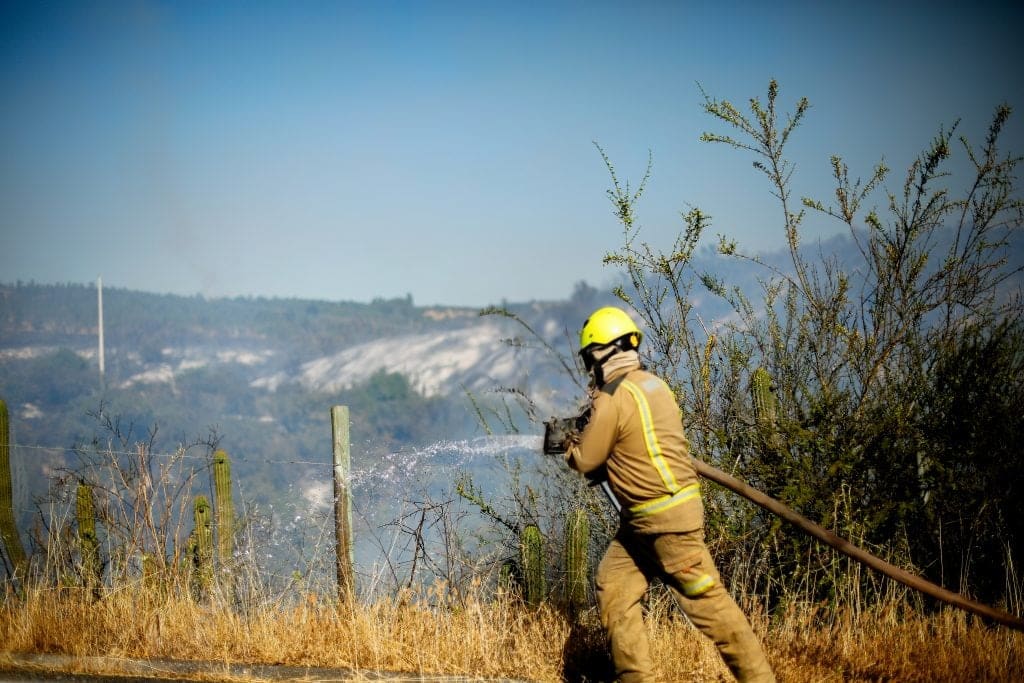 Incendio Forestal en Temuco Activa Alerta Roja y Evacuaciones
