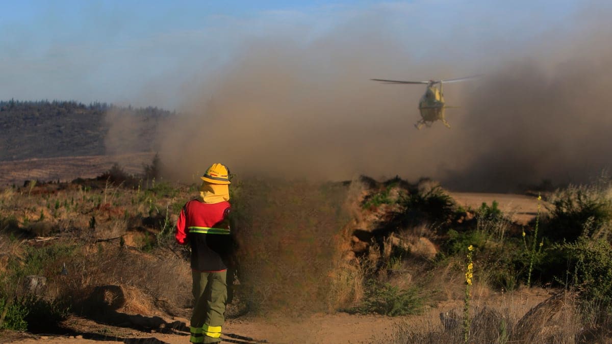 Ñuble en Alerta Roja por Incendios Forestales y Evacuaciones