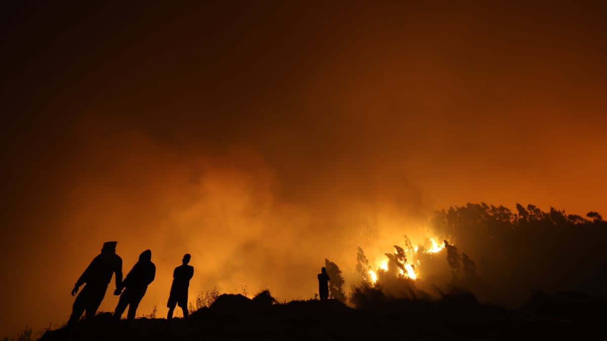 Incendios en Biobío y Ñuble: 19 Fallecidos Confirmados