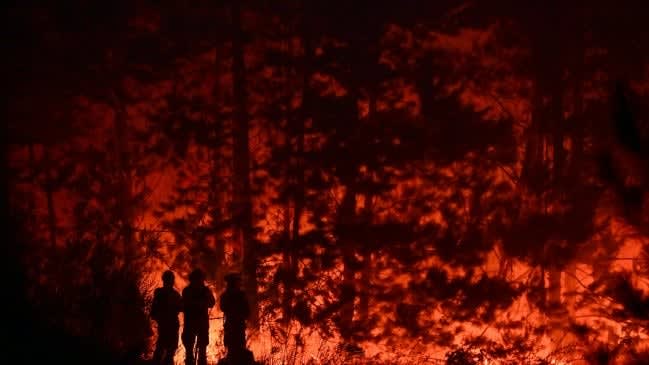 Hombre en prisión preventiva por iniciar incendio en Perquenco