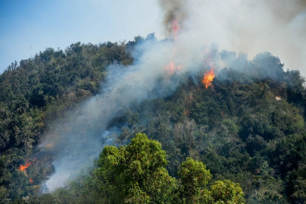 CONAF informa 27 incendios forestales activos en Chile