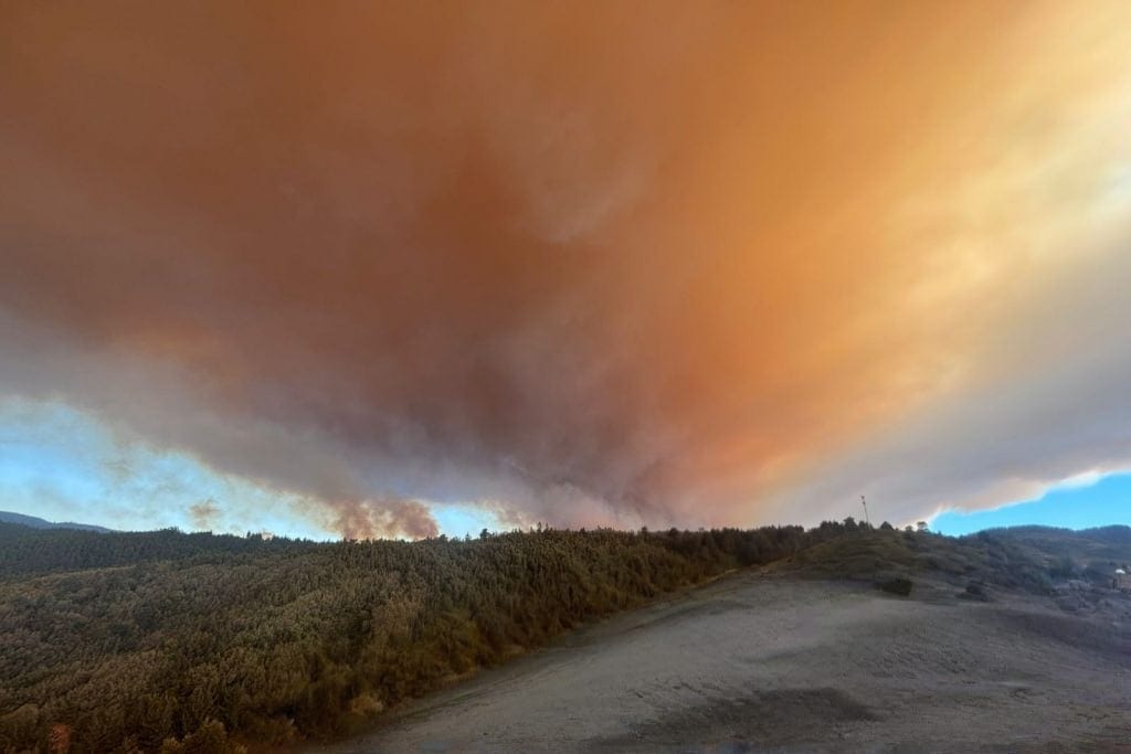 Senapred solicita evacuar Quebrada de Riffo por incendio forestal
