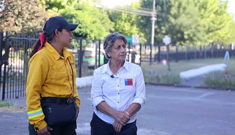 Brigadistas Mexicanos Refuerzan Combate Incendios en La Araucanía