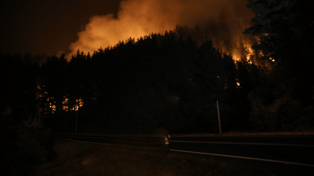 Actualizan Alerta Roja por incendio forestal en Concepción y Penco
