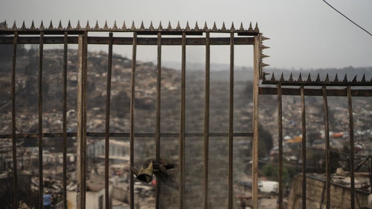 Gobierno activa Bono de Recuperación por incendios