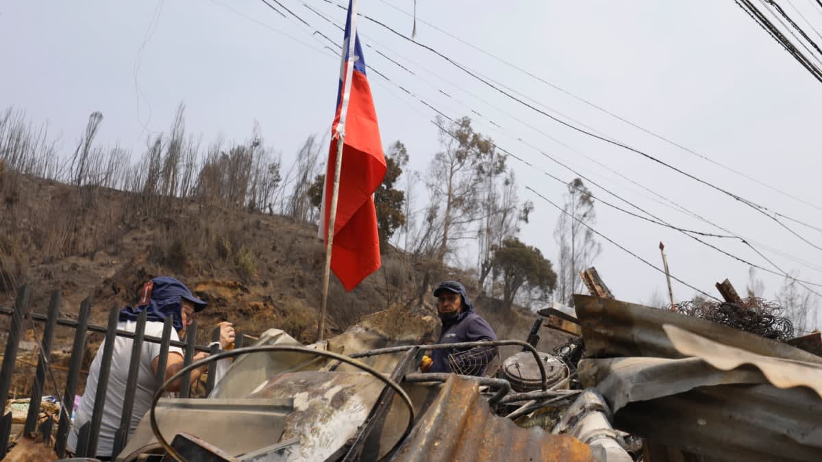SII condona multas e intereses por incendios en Ñuble y Biobío