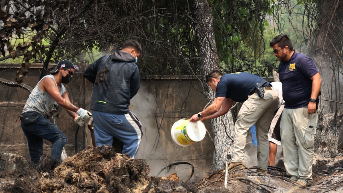 Protección Laboral ante Incendios en Ñuble y Biobío