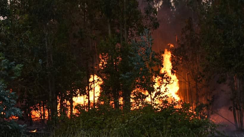 Declaran Alerta Roja en Comunas de La Araucanía por Incendios Forestales