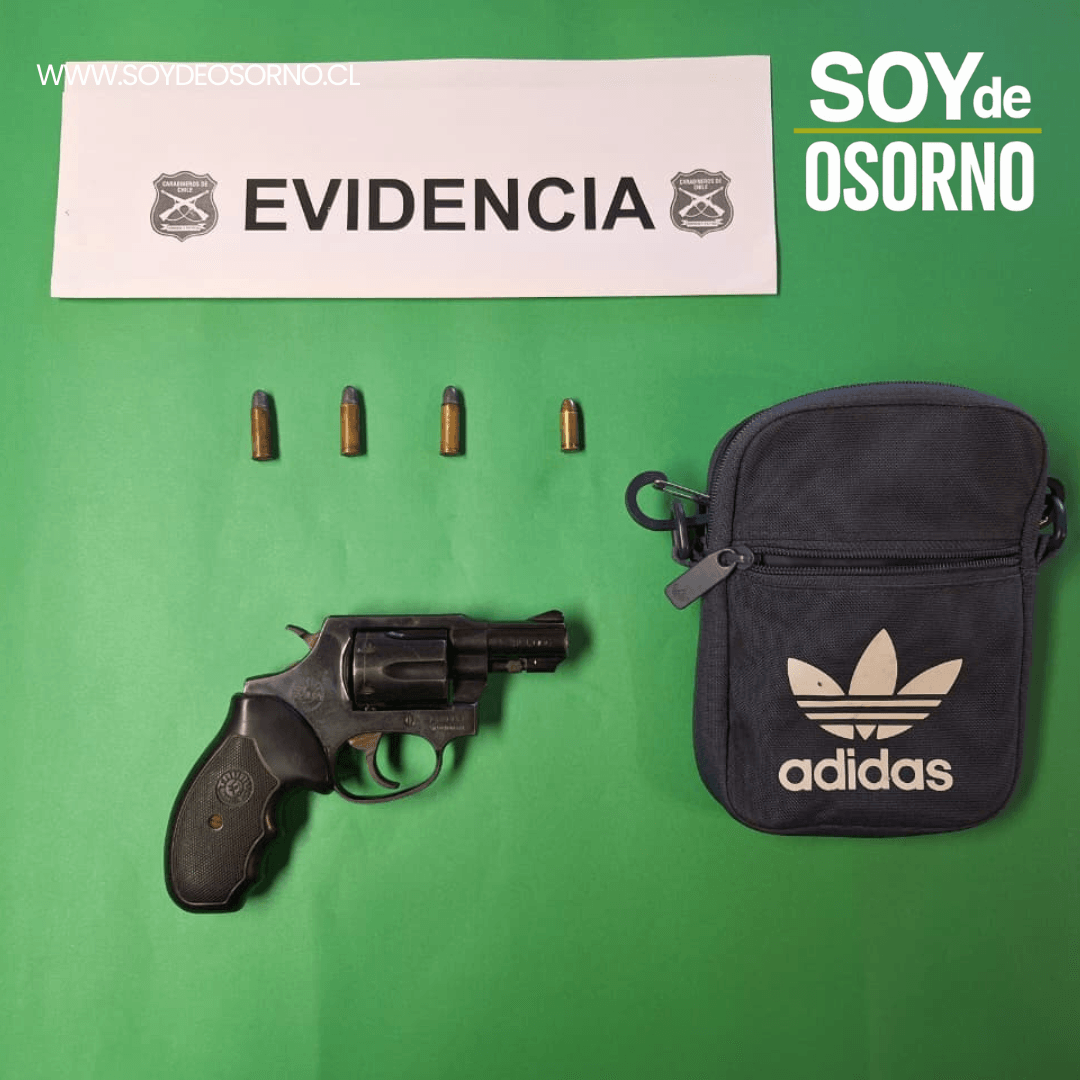 Detenido hombre armado en mirador de Purranque