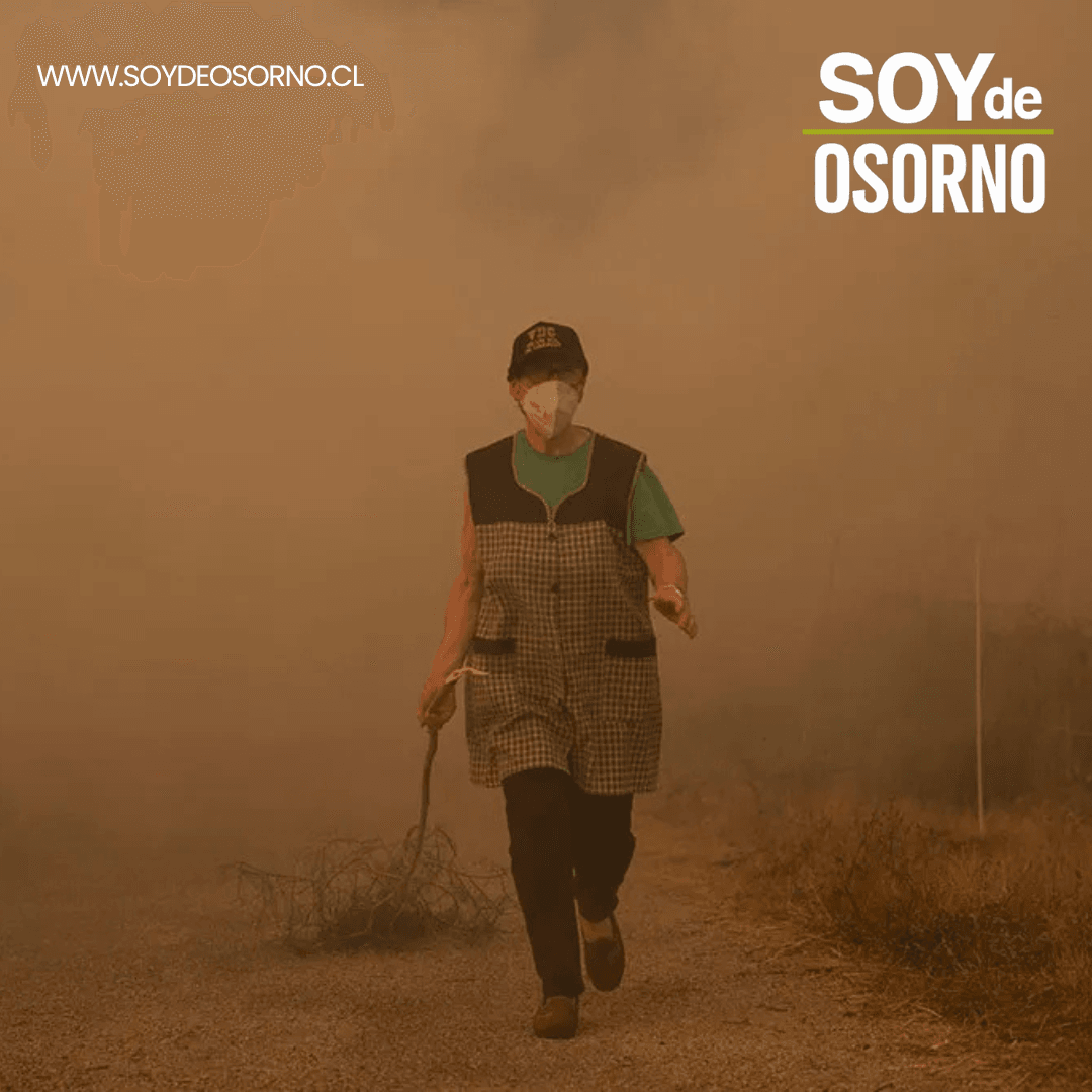 Minsal detalla precauciones por incendios: humo, escombros y Hantavirus