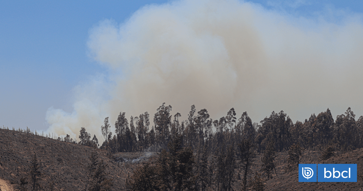 Región de Los Lagos: Conaf registra 48 incendios menos