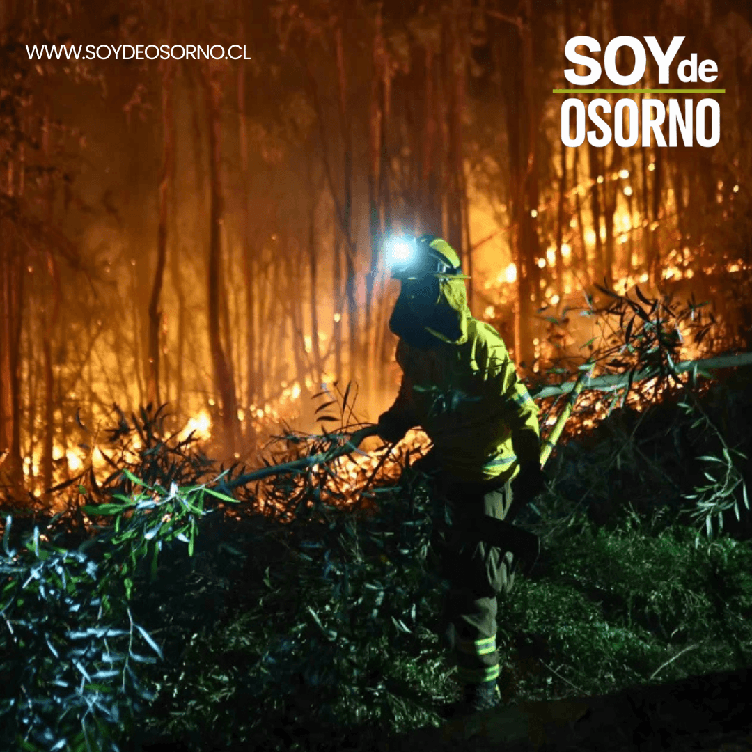 Senado Aprueba Ley de Incendios y Avanza a Tercer Trámite