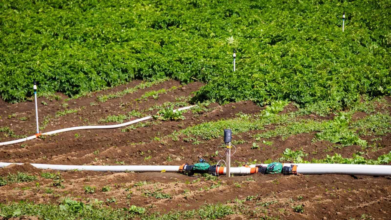 Riego Agrícola con Plásticos Reciclados en Llanquihue