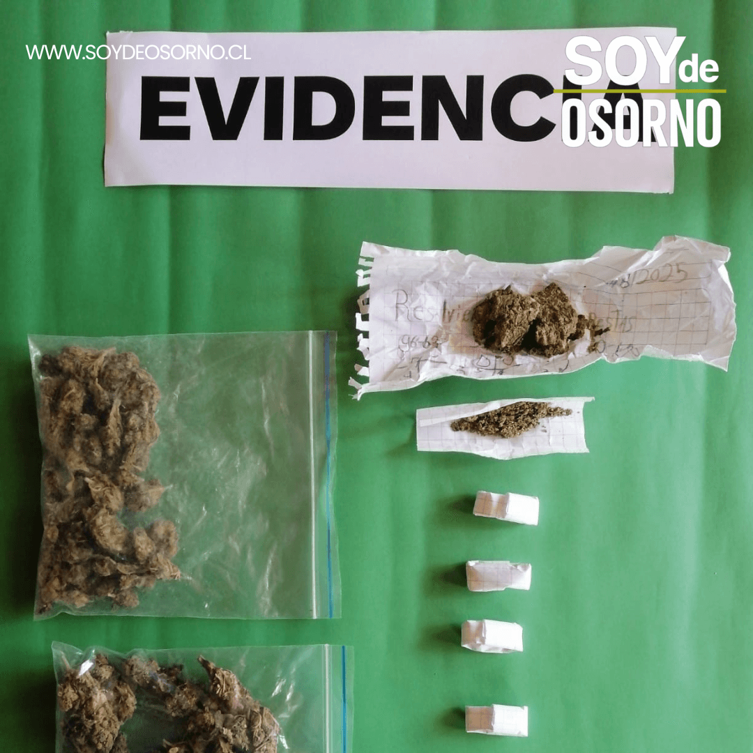 Mujer detenida en Purranque con marihuana durante fiscalización vehicular