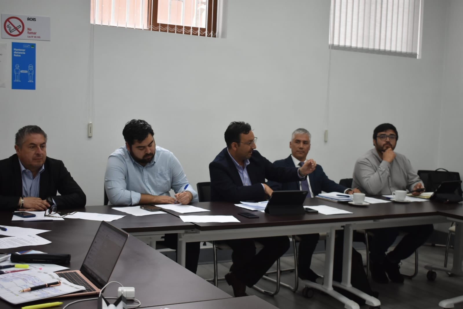 Revisión de Estudio Ferroviario Puerto Montt-La Unión