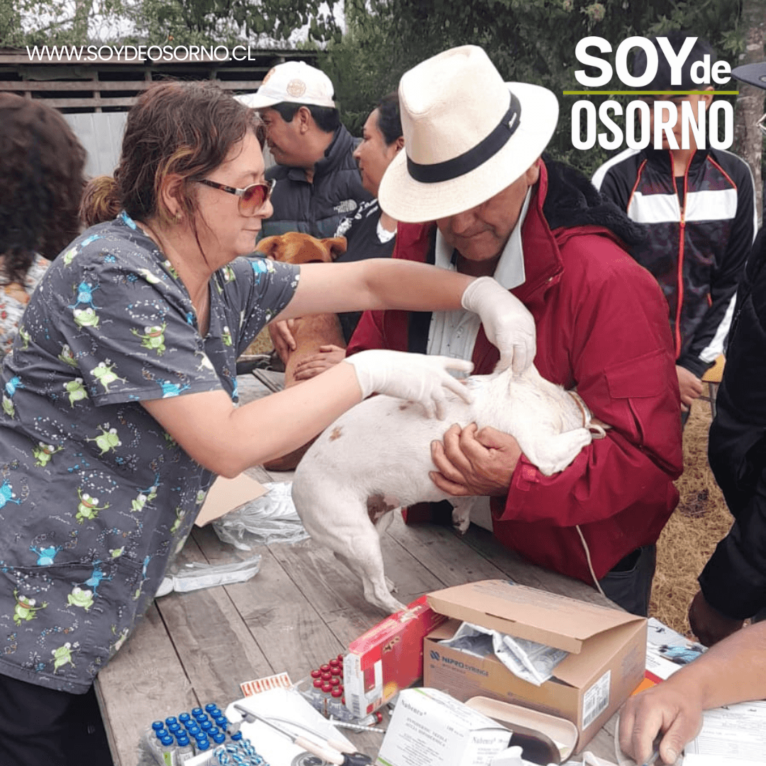 Municipalidad de San Juan de la Costa Realiza Operativo Veterinario en Popoén