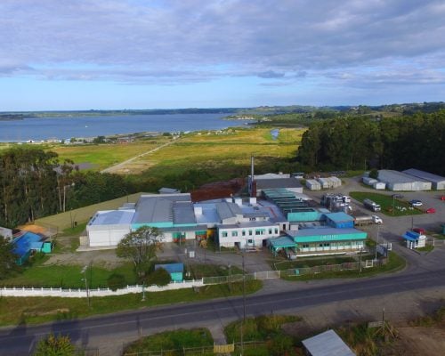 Ancud: Cierra Chilolac y 130 trabajadores quedan sin empleo