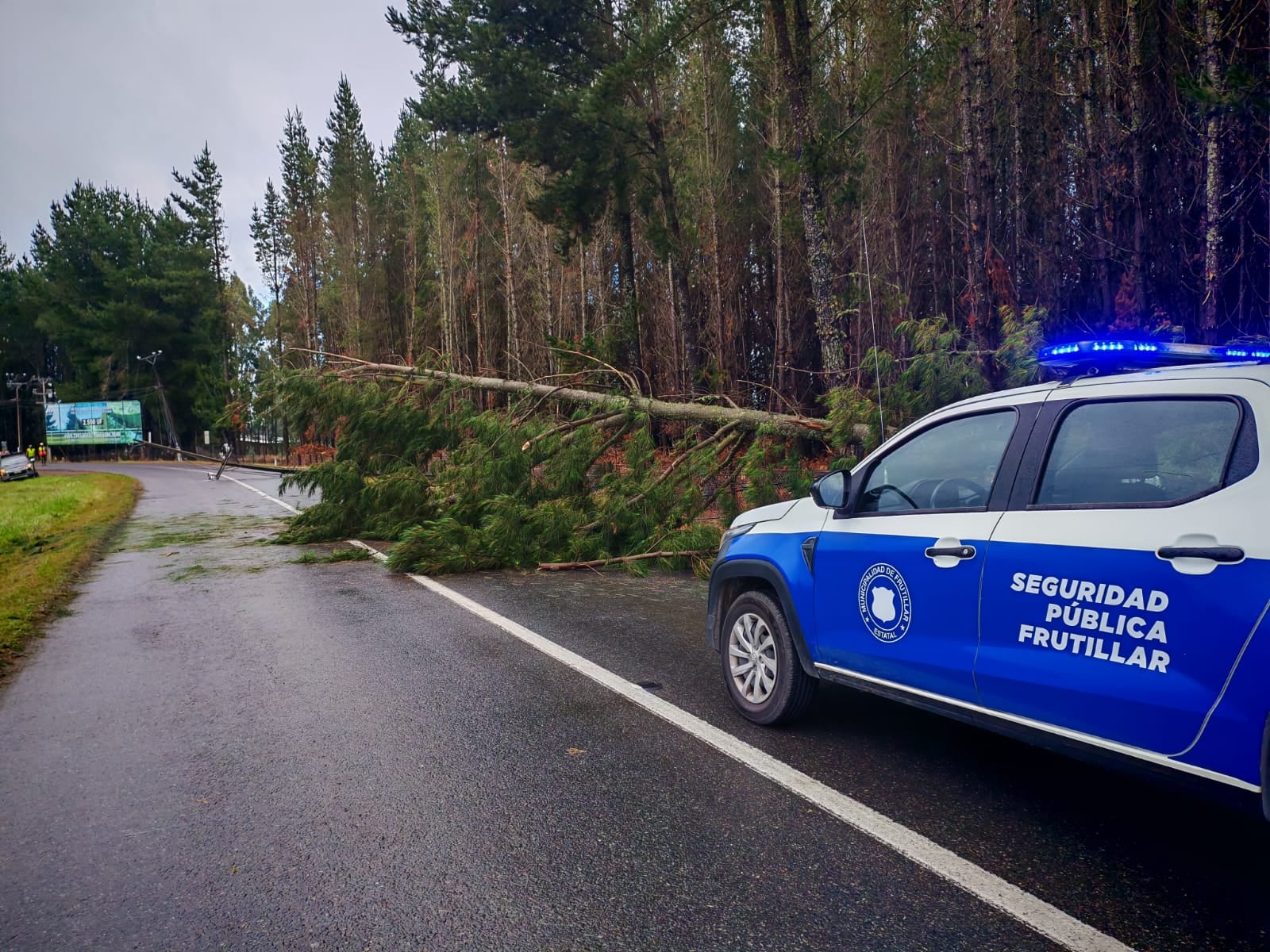 Daños sistema frontal Frutillar