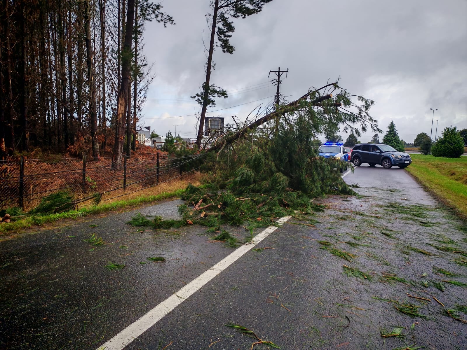 Daños sistema frontal Frutillar