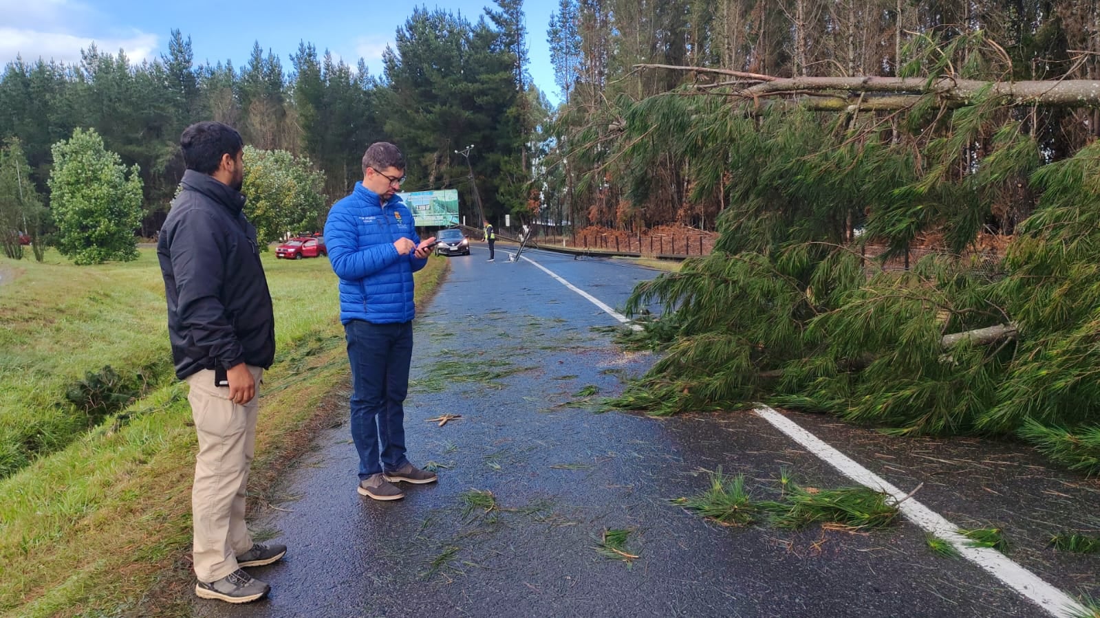 Daños sistema frontal Frutillar