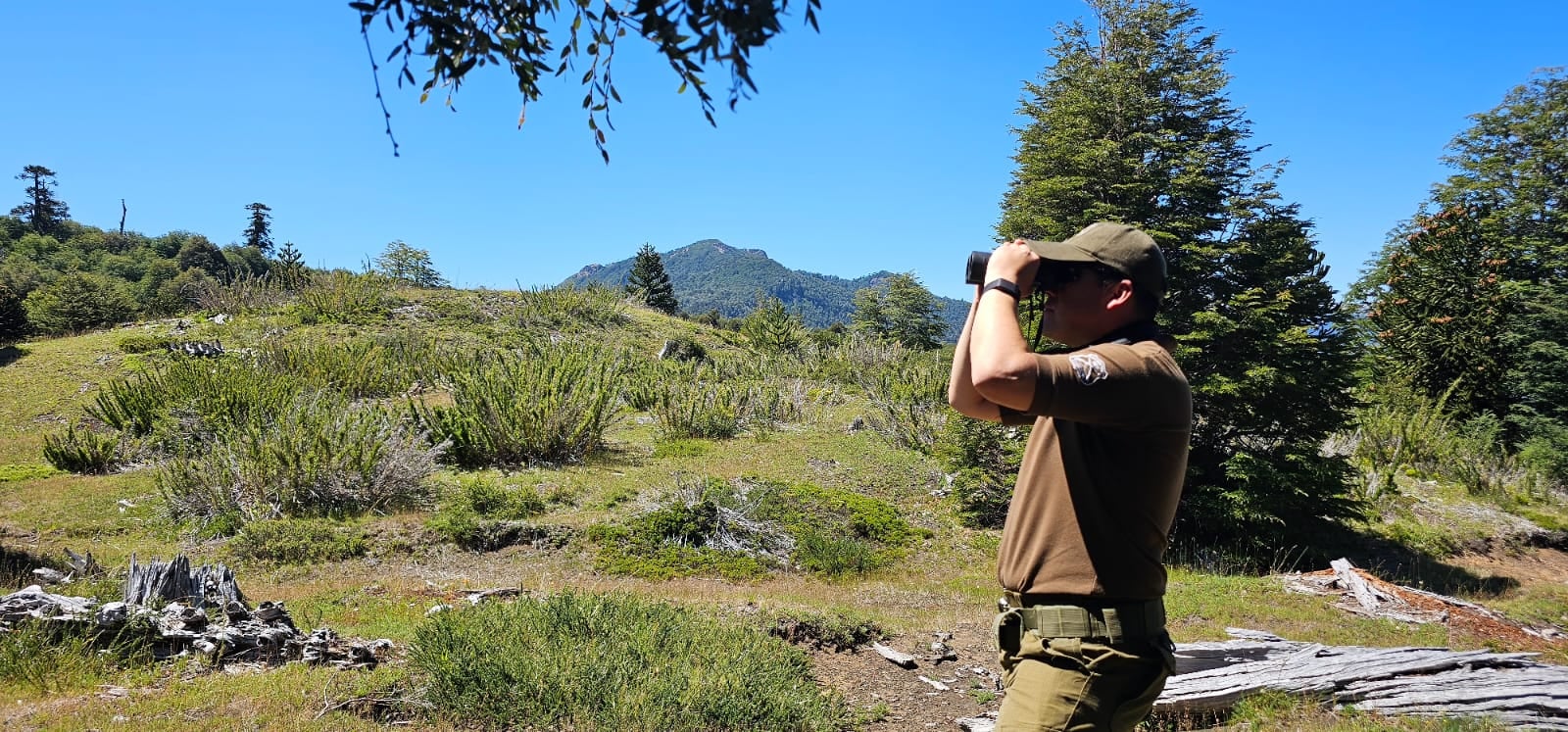 Carabineros investiga desaparición de adulto mayor en Puerto Montt