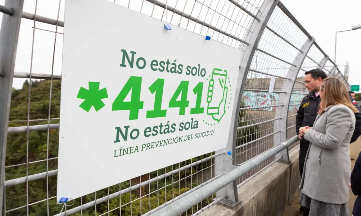 Señalética de prevención del suicidio instalada en el viaducto Fourcade de Puerto Montt