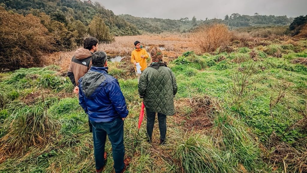 Autoridades recorren el humedal Villa El Lago de Puerto Octay, con los totorales y el cerro al fondo