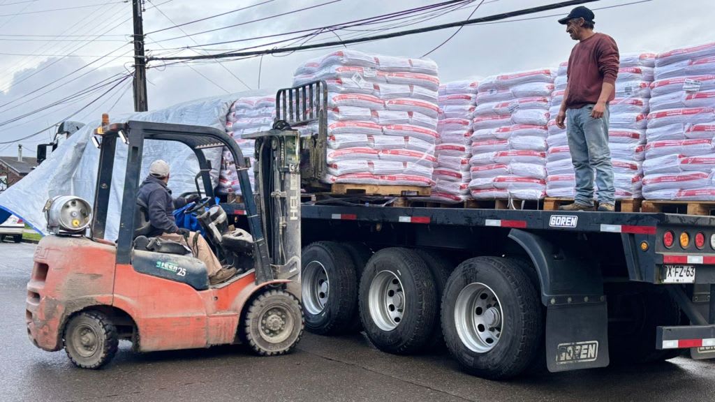 Una grúa horquilla descarga pallets con sacos de alimento concentrado desde un camión, en la provincia de Osorno.