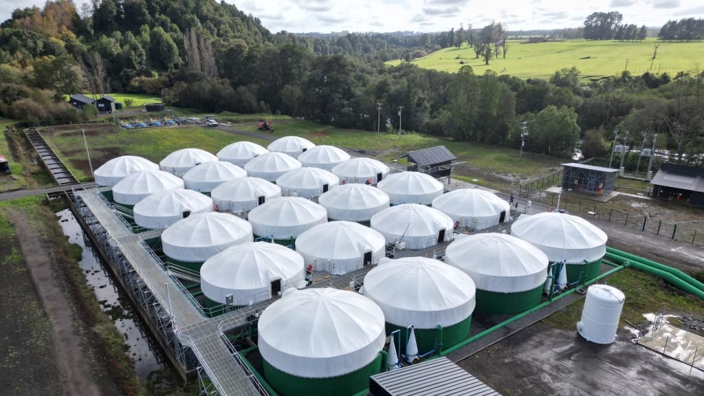 Vista aérea de los estanques cubiertos de la Piscicultura Puyehue de Blumar, cerca de Entre Lagos